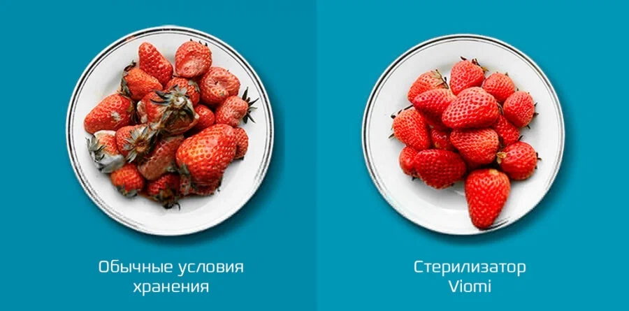 Поглотитель запаха Viomi Kitchen Refrigerator Air Purifier Sterilizing Odor Filter VF1-CB в Челябинске купить по недорогим ценам с доставкой